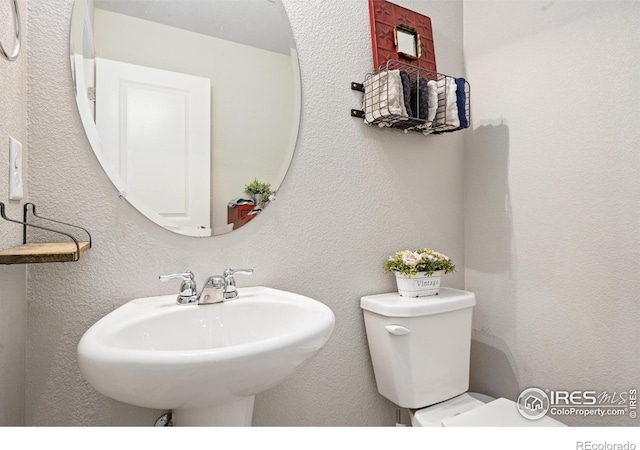 3068 Aries Dr, Loveland, CO 80537 - photo 16