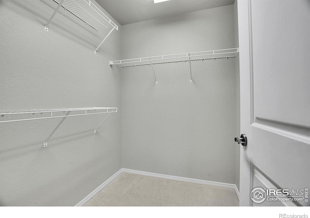 9266 W 107th Ln, Broomfield, CO 80021 - walk in closet featuring carpet