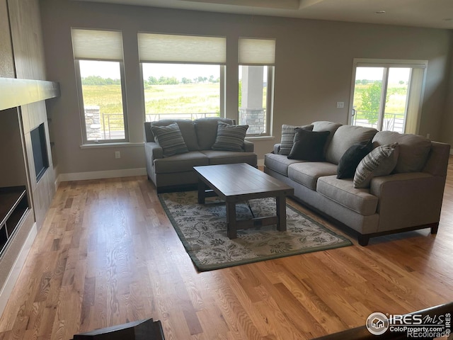 6928 Summerwind Ct, Timnath, CO 80547 - living room with a glass covered fireplace and light wood-type flooring