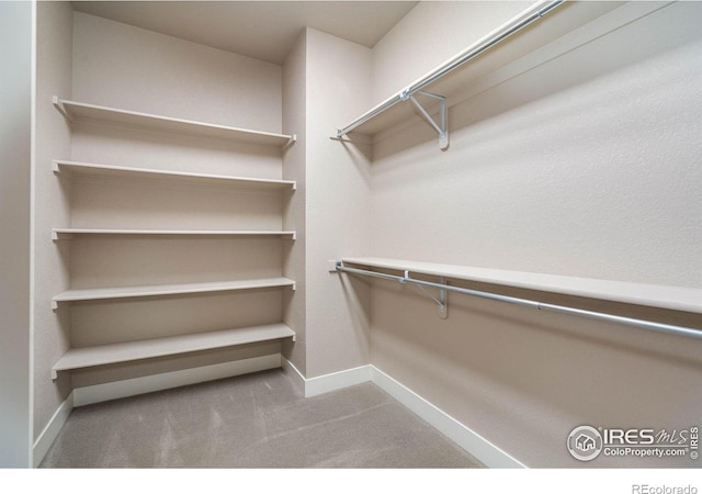 6928 Summerwind Ct, Timnath, CO 80547 - spacious closet featuring carpet