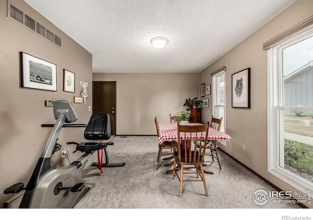 14 Douglas Dr N, Broomfield, CO 80020 - dining room with carpet flooring and a textured ceiling