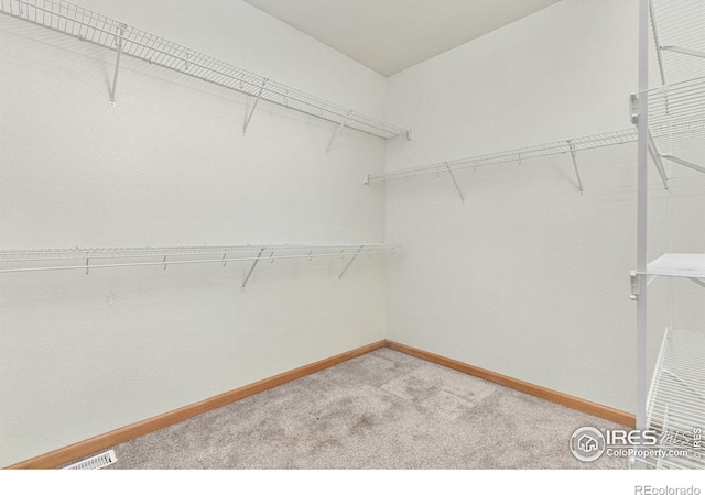 6625 34th St, Greeley, CO 80634 - photo 14
