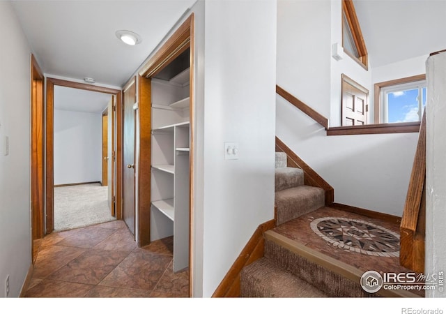 450 Wells St, Erie, CO 80516 - photo 12