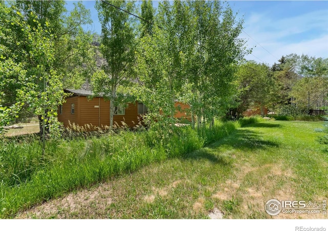 277 Riverside Dr, Bellvue, CO 80512 - photo 14