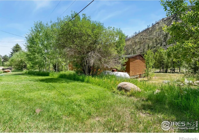 277 Riverside Dr, Bellvue, CO 80512 - photo 16