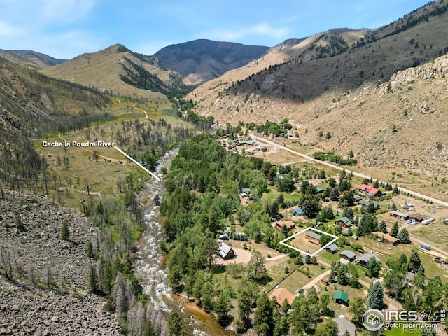 277 Riverside Dr, Bellvue, CO 80512 - photo 19