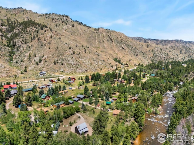 277 Riverside Dr, Bellvue, CO 80512 - photo 21