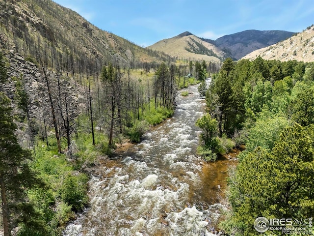 277 Riverside Dr, Bellvue, CO 80512 - photo 22