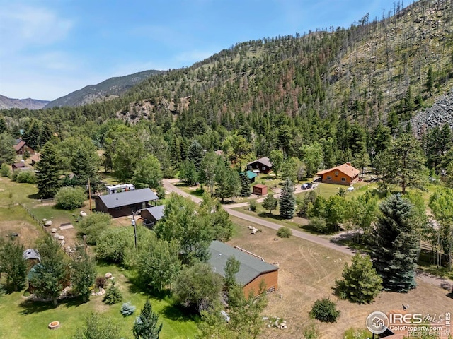 277 Riverside Dr, Bellvue, CO 80512 - photo 23