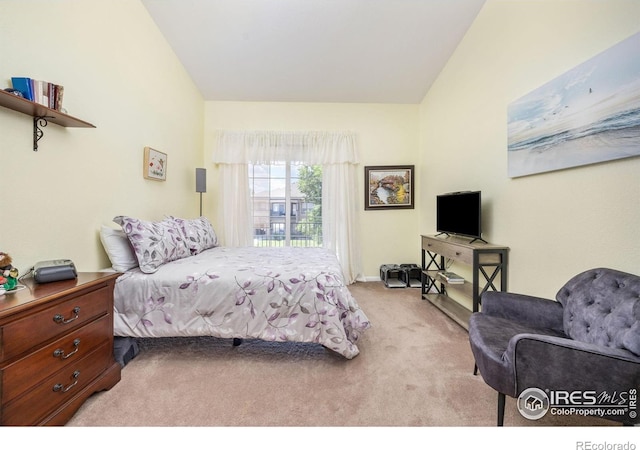 5038 Northern Lights Dr Unit A, Fort Collins, CO 80528 - photo 17