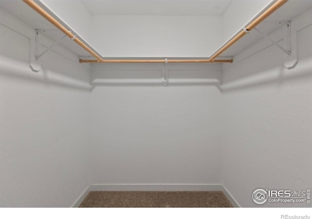 1013 E Willox Ln, Fort Collins, CO 80524 - photo 19
