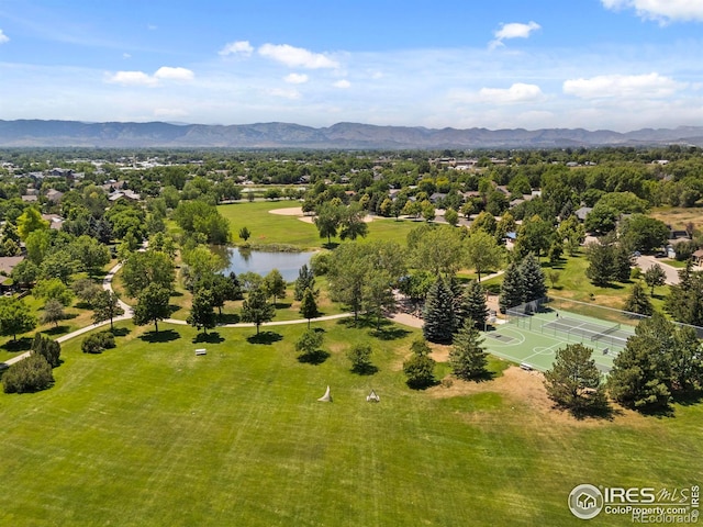 1013 E Willox Ln, Fort Collins, CO 80524 - photo 35