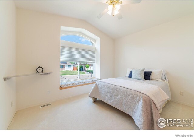 1809 Little Bear Ct, Longmont, CO 80504 - photo 33