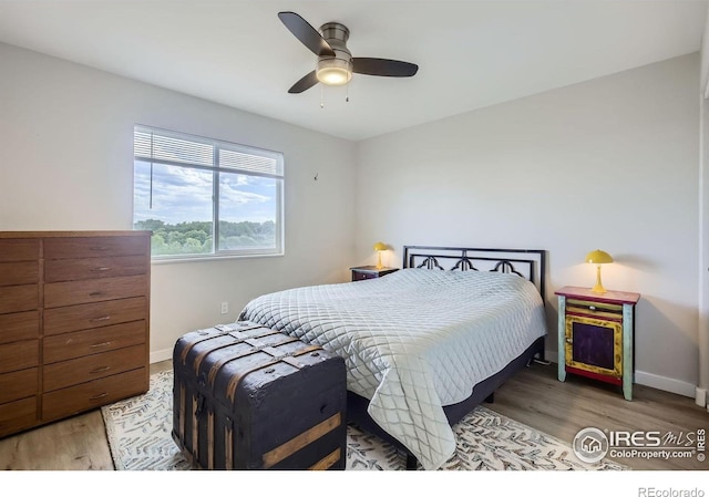 2609 Cherly St, Fort Collins, CO 80524 - photo 13