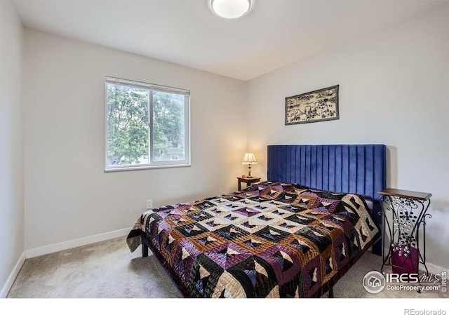 2609 Cherly St, Fort Collins, CO 80524 - photo 14