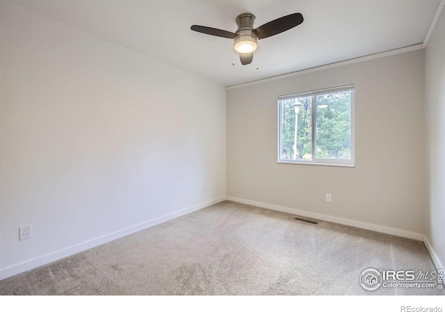 2609 Cherly St, Fort Collins, CO 80524 - photo 15