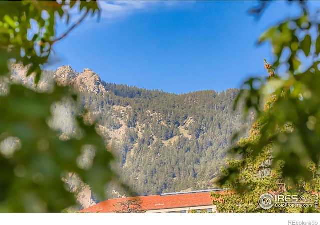 1825 Marine St Unit 8, Boulder, CO 80302 - mountain view with a forest