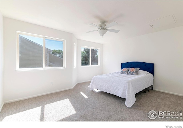 2159 Meadow Ct, Longmont, CO 80501 - photo 21
