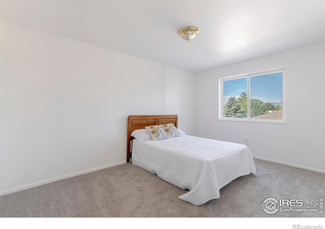 2159 Meadow Ct, Longmont, CO 80501 - photo 24