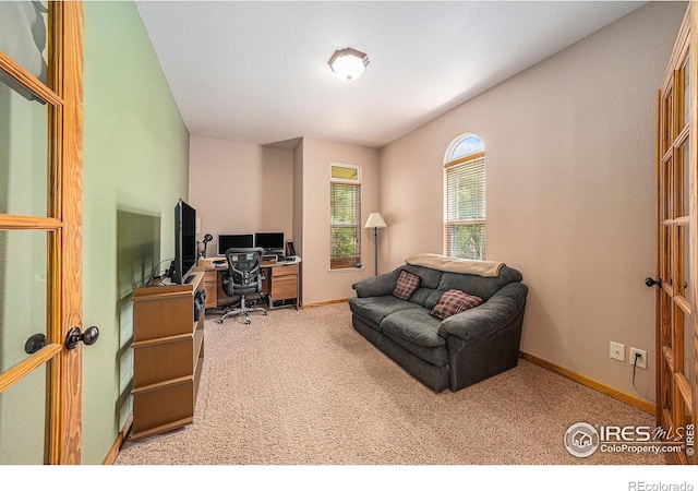 3013 70th Ave, Greeley, CO 80634 - photo 16