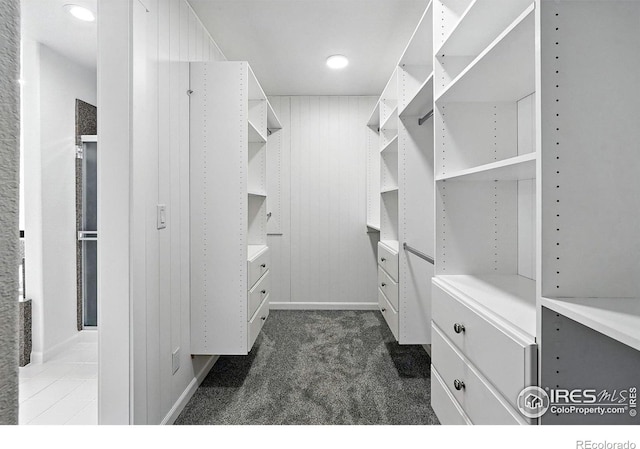 2078 Goldfinch Ct, Longmont, CO 80503 - spacious closet with dark carpet