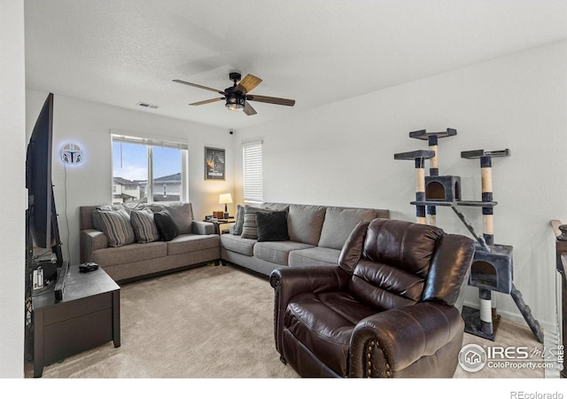 1228 Argali Dr, Severance, CO 80550 - photo 19