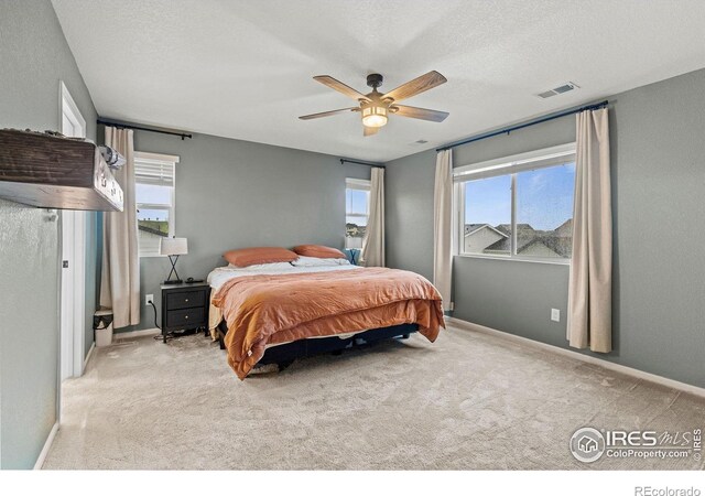 1228 Argali Dr, Severance, CO 80550 - photo 20