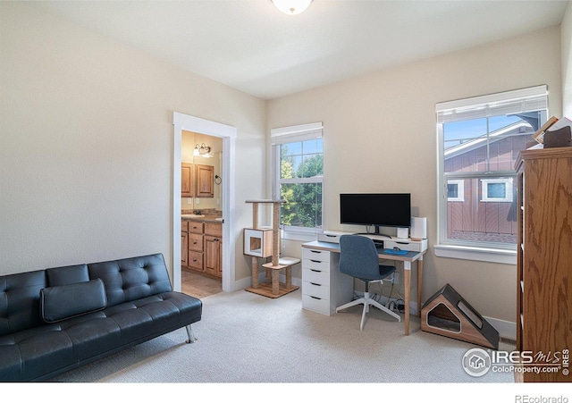 5850 Dripping Rock Ln Unit 102, Fort Collins, CO 80528 - photo 24