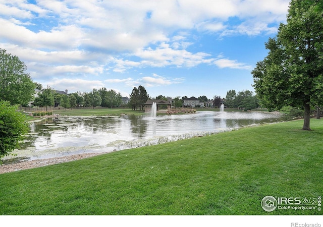 5850 Dripping Rock Ln Unit 102, Fort Collins, CO 80528 - photo 39