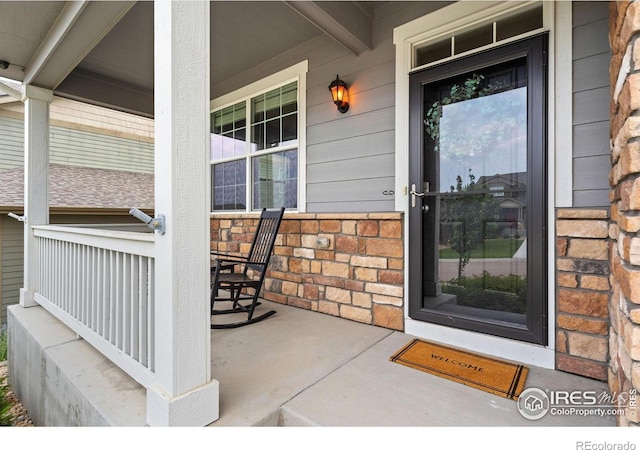 2283 Stonefish Dr, Windsor, CO 80550 - photo 2