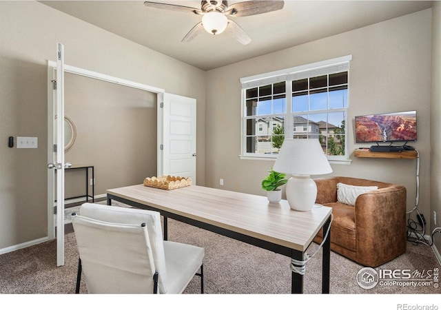 2283 Stonefish Dr, Windsor, CO 80550 - photo 16