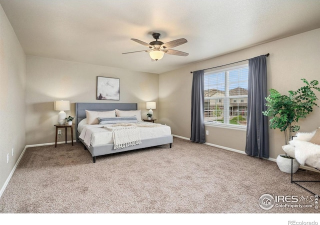 2283 Stonefish Dr, Windsor, CO 80550 - photo 20