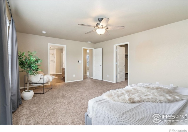 2283 Stonefish Dr, Windsor, CO 80550 - photo 22