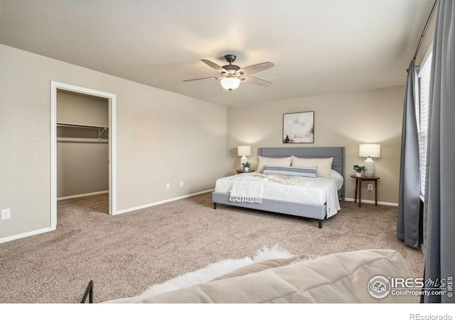 2283 Stonefish Dr, Windsor, CO 80550 - photo 23