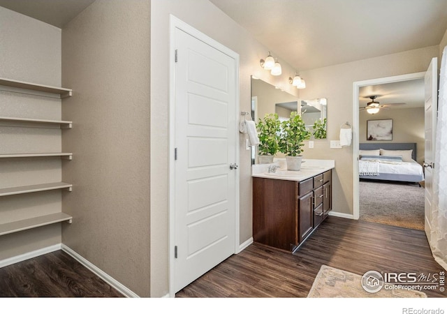 2283 Stonefish Dr, Windsor, CO 80550 - photo 24