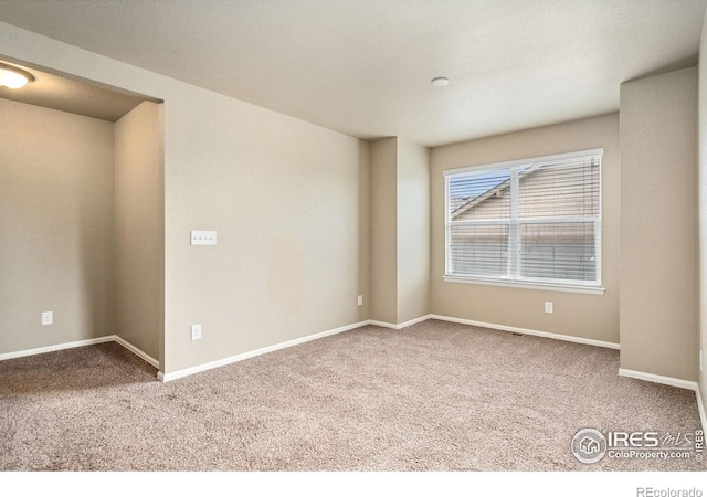 2283 Stonefish Dr, Windsor, CO 80550 - photo 26