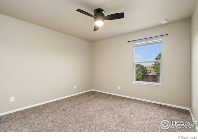 2283 Stonefish Dr, Windsor, CO 80550 - photo 27