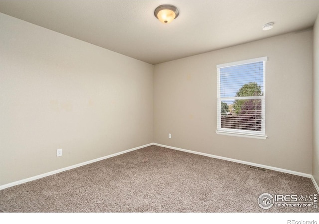2283 Stonefish Dr, Windsor, CO 80550 - photo 30