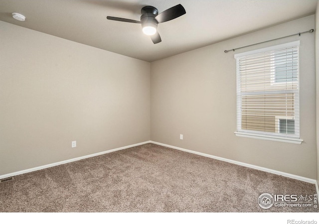 2283 Stonefish Dr, Windsor, CO 80550 - photo 32