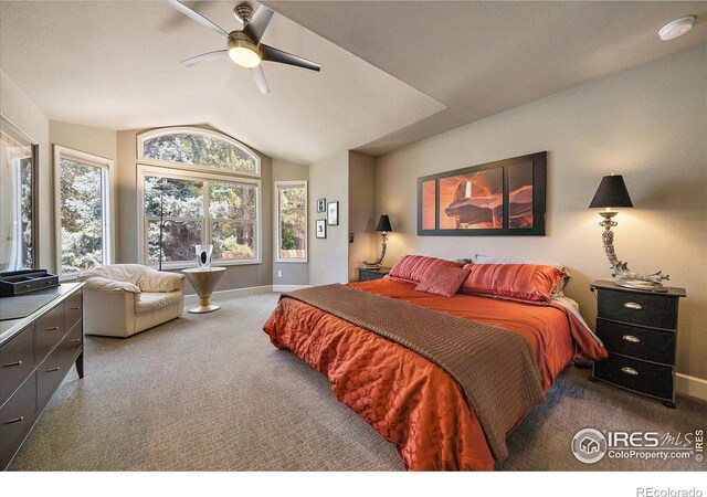 9459 Oakbrush Way, Lone Tree, CO 80124