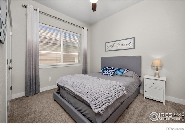 3424 Syrah St, Greeley, CO 80634 - photo 12