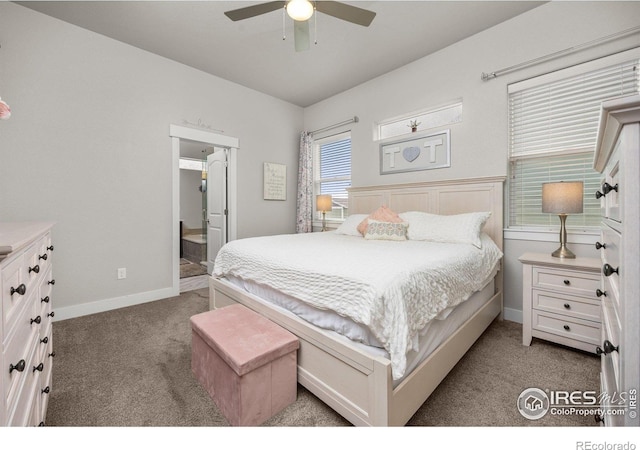3424 Syrah St, Greeley, CO 80634 - photo 13