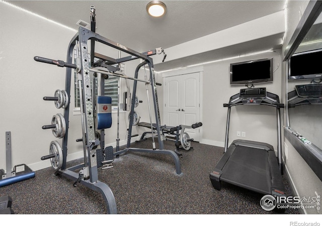 3424 Syrah St, Greeley, CO 80634 - photo 25