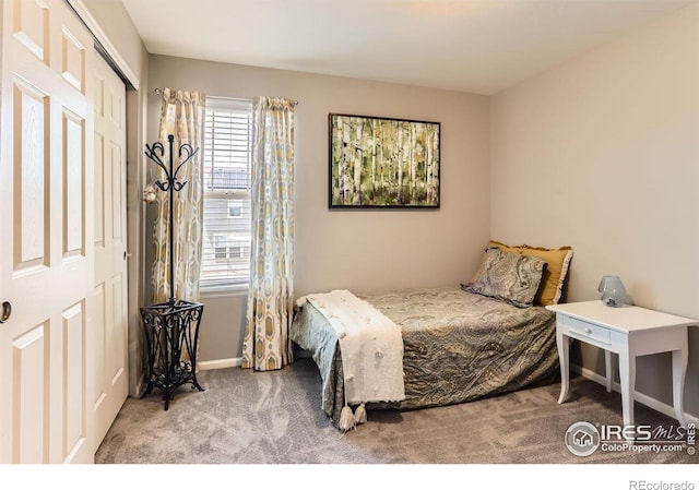 549 Jackson St, Lafayette, CO 80026 - bedroom with carpet floors and a closet