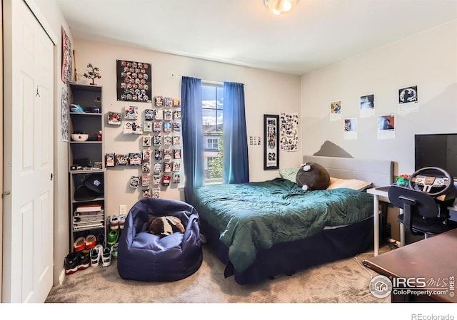 549 Jackson St, Lafayette, CO 80026 - view of carpeted bedroom