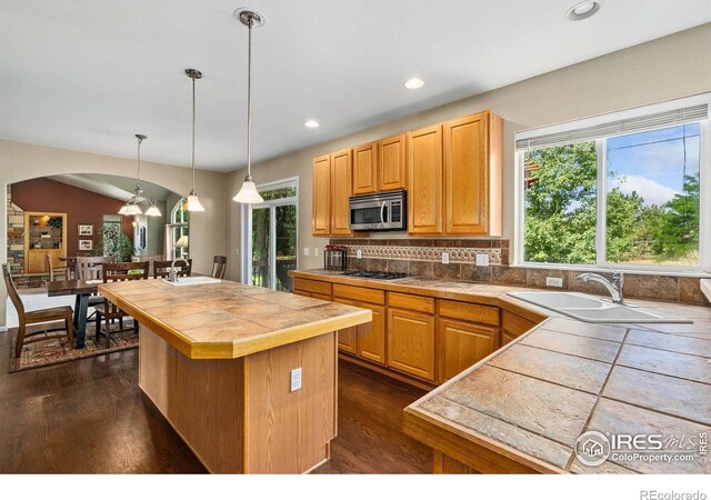 4511 Haystack Dr, Windsor, CO 80550 - photo 9
