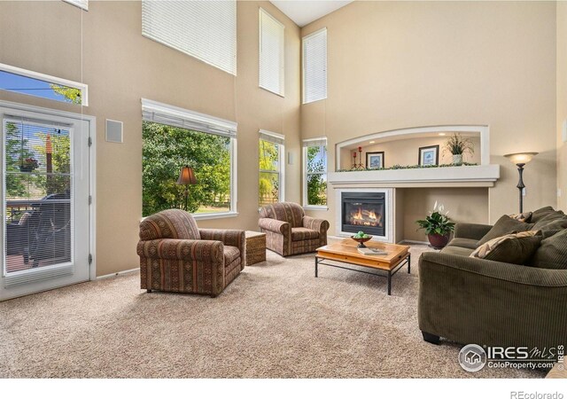 4511 Haystack Dr, Windsor, CO 80550 - photo 14