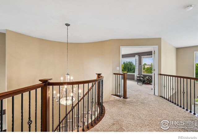 4511 Haystack Dr, Windsor, CO 80550 - photo 15