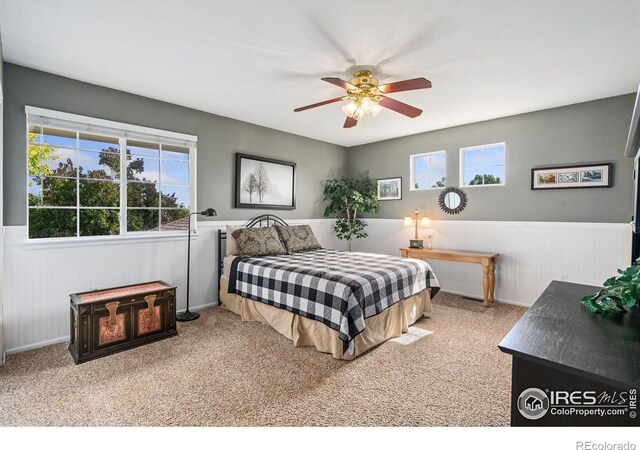 4511 Haystack Dr, Windsor, CO 80550 - photo 20
