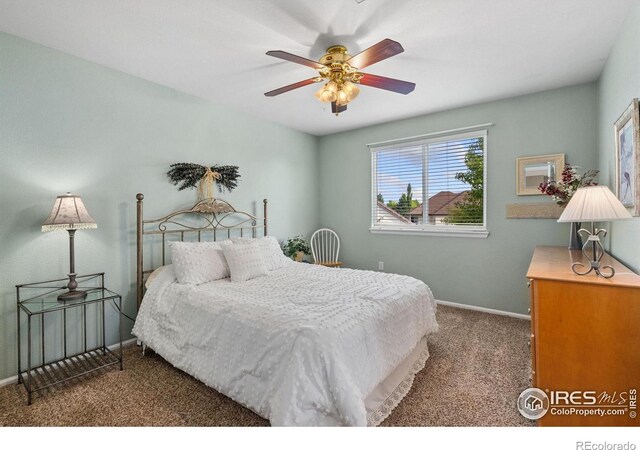 4511 Haystack Dr, Windsor, CO 80550 - photo 22